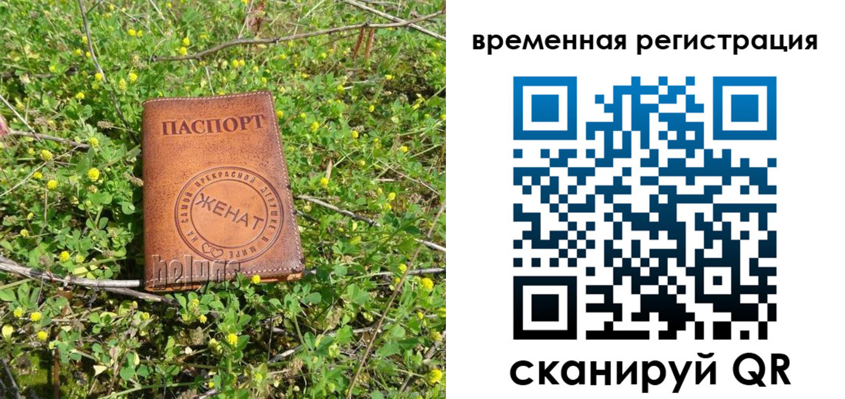 прописка регистрация в Наволоках
